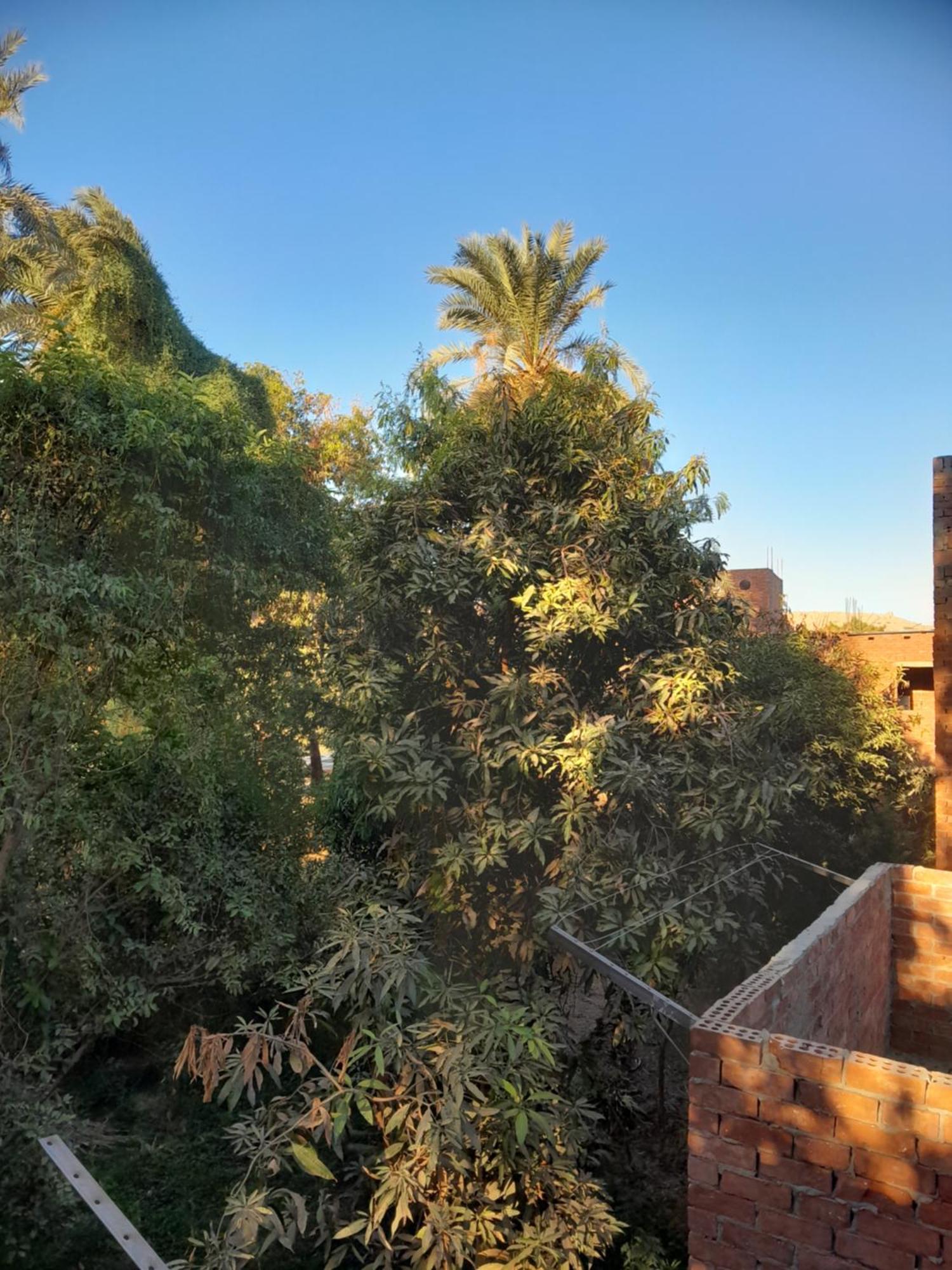 Хостел Kashta Nubian Guest Houst Асуан Экстерьер фото